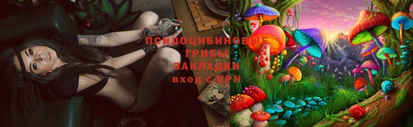 бошки Бугульма