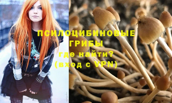 бошки Бугульма