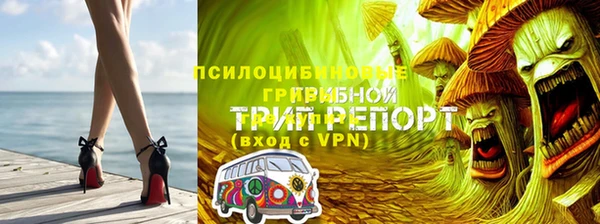 МДМА Бородино