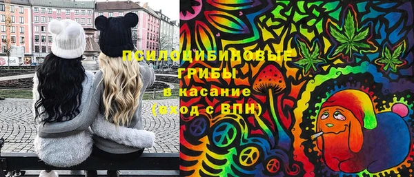 МДМА Бородино